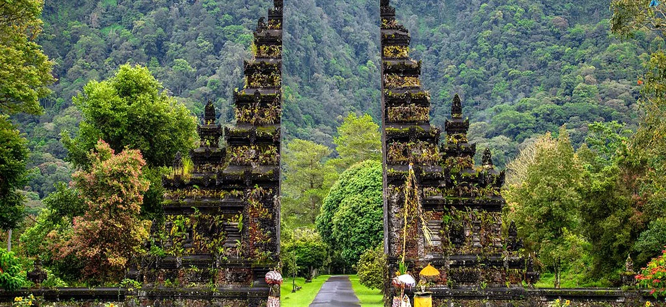 Bali Tour Guide