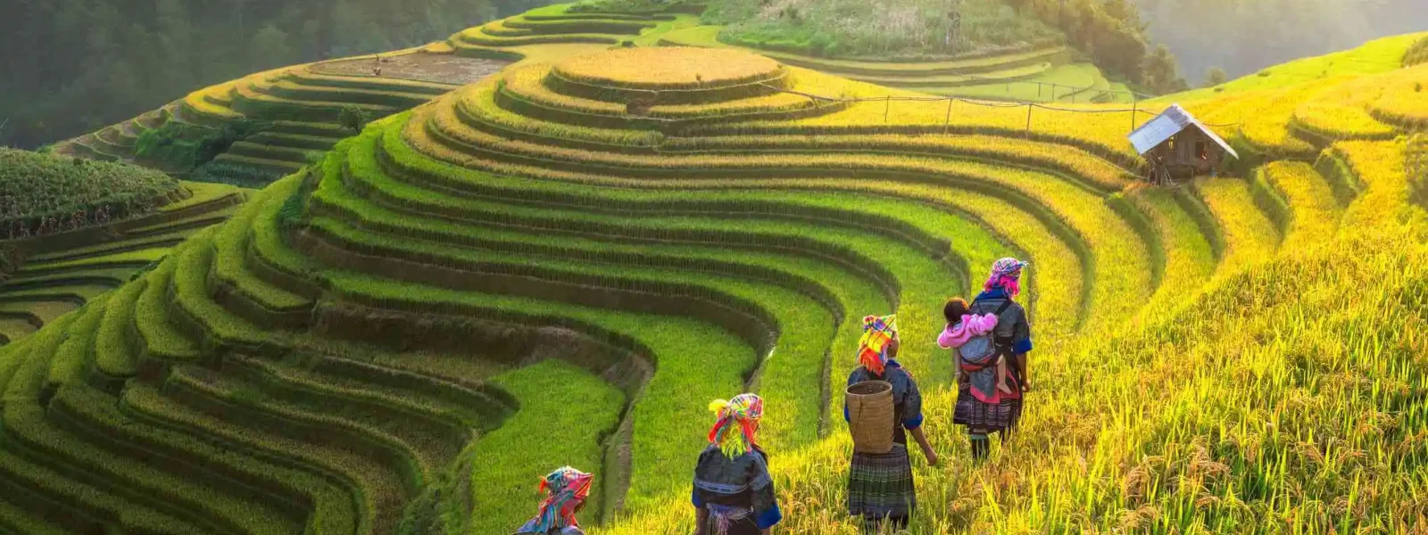 Sapa Tour Guide