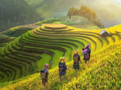 sapa-tour Sapa Tour Guide