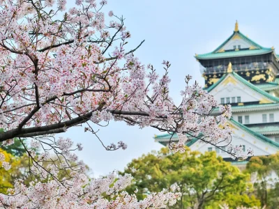 golden japan tour