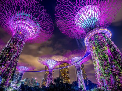 Gardens By the Bay | Singapore tour