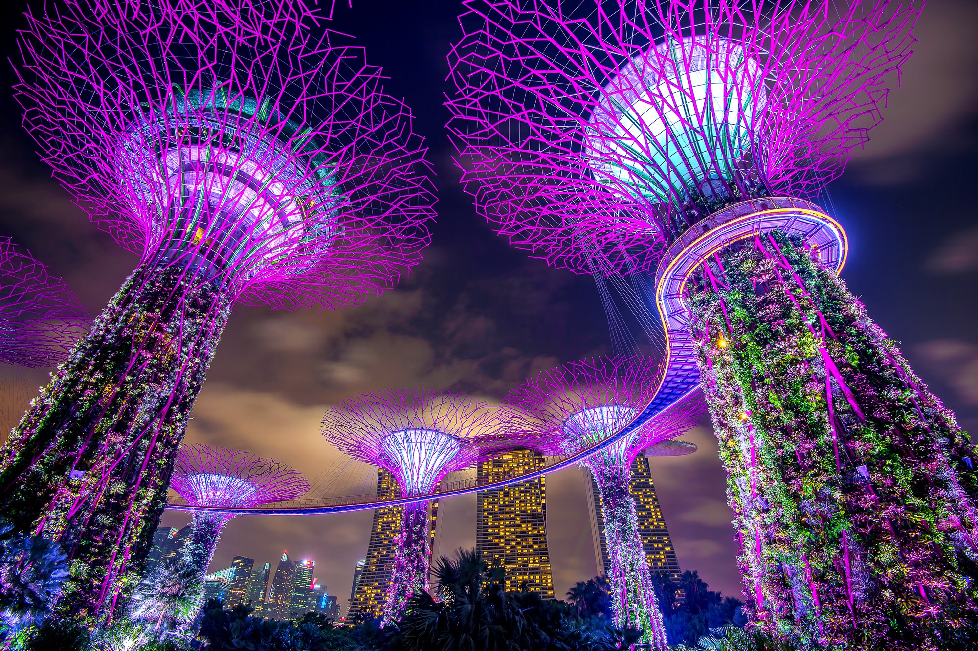 Gardens By the Bay | Singapore tour